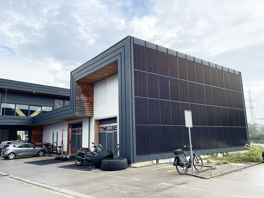 Basics-Vich-Nyon-Gland